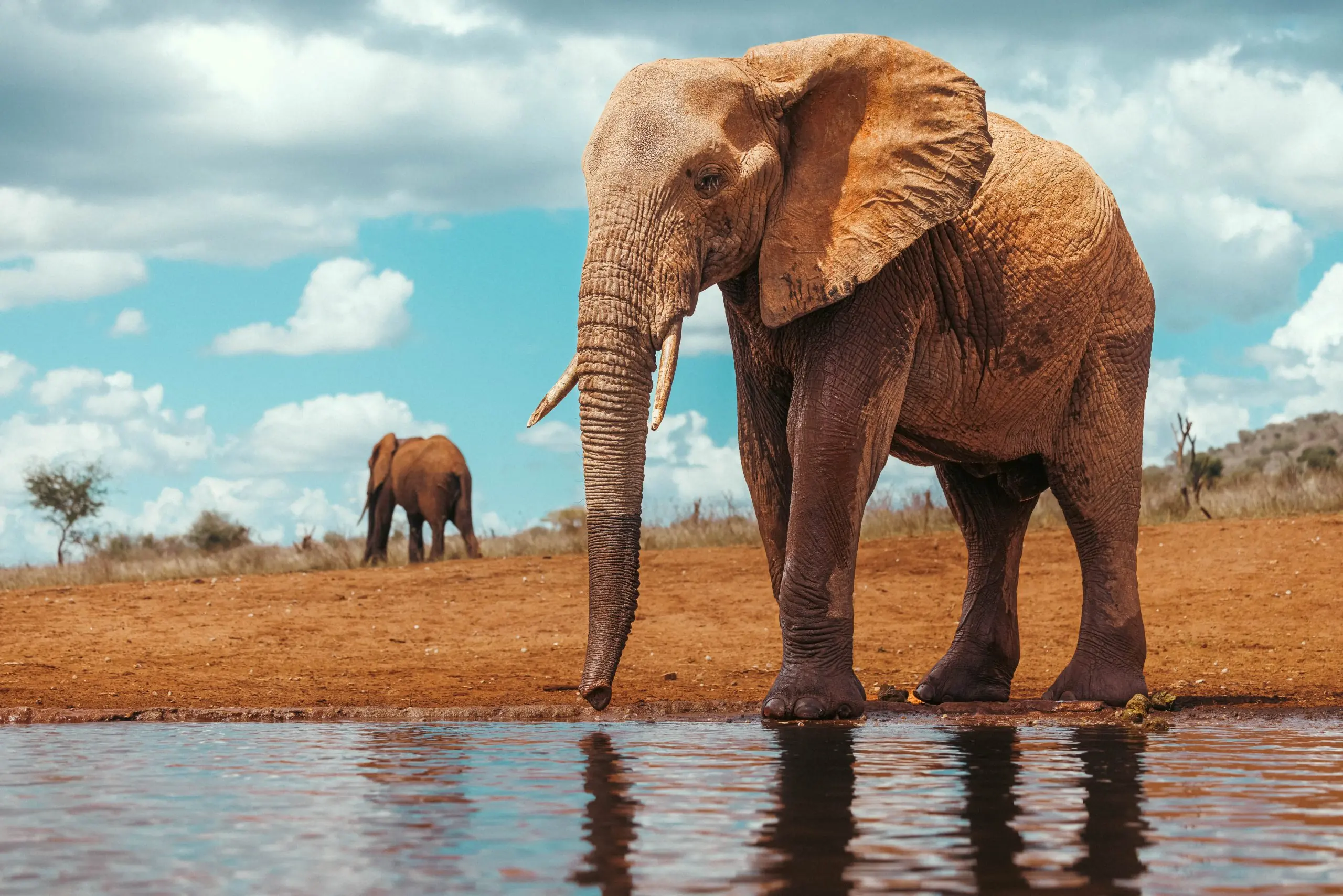 Game drive - Lumo - Sunworld Safaris - Sunworld Safaris