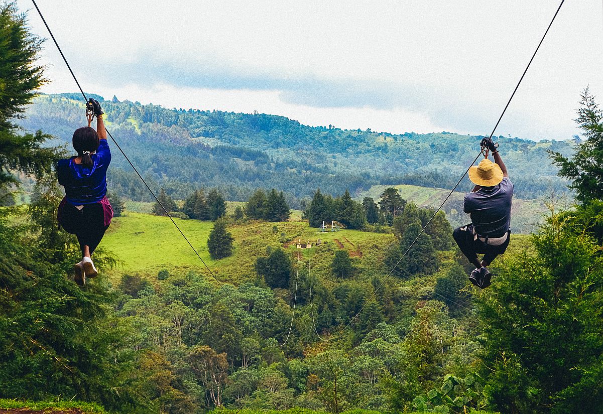 Full Day Visit to Kereita Forest