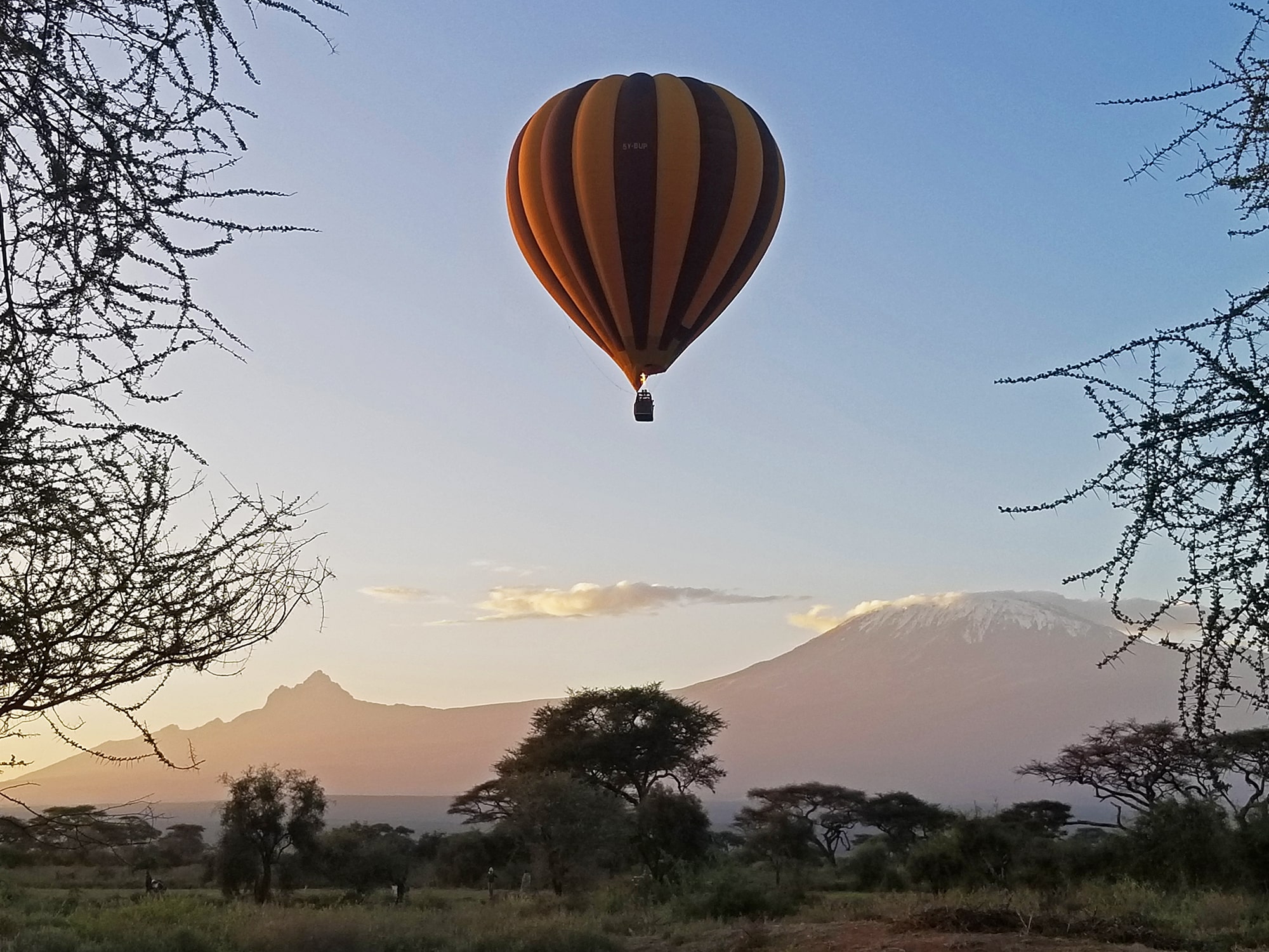 balloon safaris