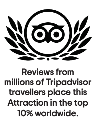 Trip Advisor Award Logo