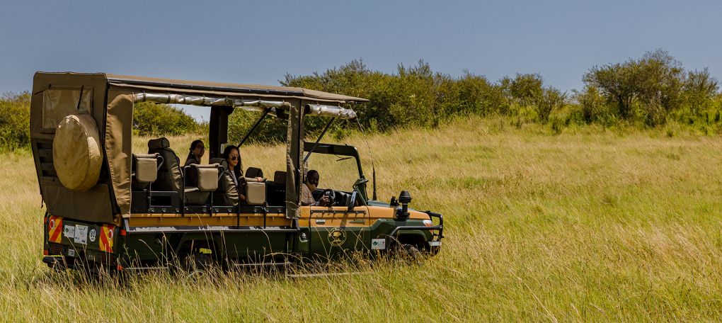 Road Package to Maasai Mara