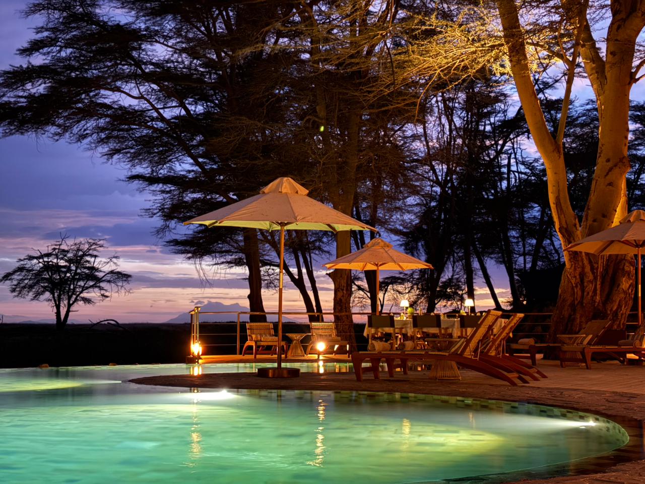 Poolside lounge area at dusk with illuminated turquoise water, white umbrellas and wooden chairs among tall trees.